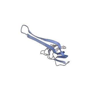 21632_6wdd_r_v1-3
Cryo-EM of elongating ribosome with EF-Tu*GTP elucidates tRNA proofreading (Cognate Structure V-A)