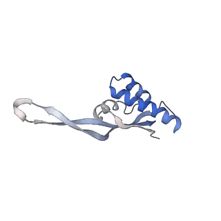 21632_6wdd_s_v1-2
Cryo-EM of elongating ribosome with EF-Tu*GTP elucidates tRNA proofreading (Cognate Structure V-A)