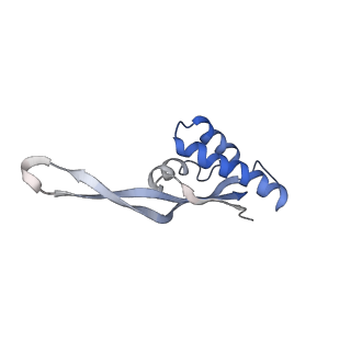 21632_6wdd_s_v1-3
Cryo-EM of elongating ribosome with EF-Tu*GTP elucidates tRNA proofreading (Cognate Structure V-A)