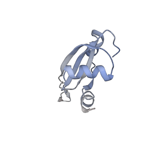 21632_6wdd_t_v1-2
Cryo-EM of elongating ribosome with EF-Tu*GTP elucidates tRNA proofreading (Cognate Structure V-A)