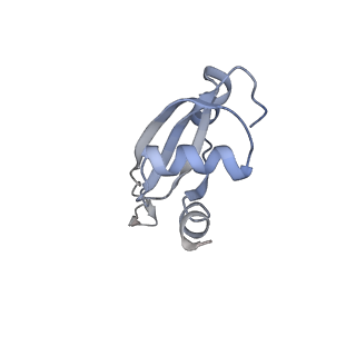 21632_6wdd_t_v1-3
Cryo-EM of elongating ribosome with EF-Tu*GTP elucidates tRNA proofreading (Cognate Structure V-A)