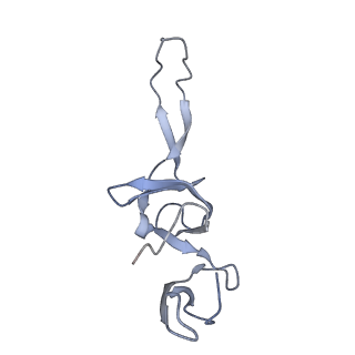 21632_6wdd_u_v1-2
Cryo-EM of elongating ribosome with EF-Tu*GTP elucidates tRNA proofreading (Cognate Structure V-A)