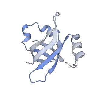 21632_6wdd_v_v1-2
Cryo-EM of elongating ribosome with EF-Tu*GTP elucidates tRNA proofreading (Cognate Structure V-A)