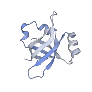 21632_6wdd_v_v1-3
Cryo-EM of elongating ribosome with EF-Tu*GTP elucidates tRNA proofreading (Cognate Structure V-A)