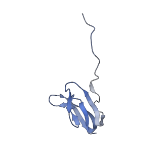 21632_6wdd_w_v1-2
Cryo-EM of elongating ribosome with EF-Tu*GTP elucidates tRNA proofreading (Cognate Structure V-A)