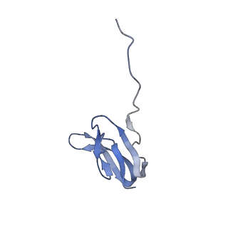 21632_6wdd_w_v1-3
Cryo-EM of elongating ribosome with EF-Tu*GTP elucidates tRNA proofreading (Cognate Structure V-A)