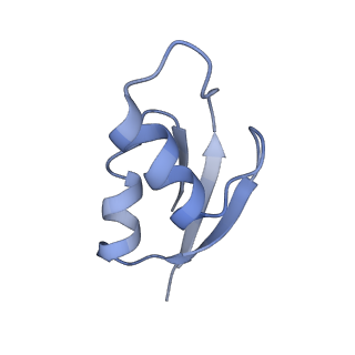 21632_6wdd_z_v1-2
Cryo-EM of elongating ribosome with EF-Tu*GTP elucidates tRNA proofreading (Cognate Structure V-A)