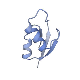 21632_6wdd_z_v1-3
Cryo-EM of elongating ribosome with EF-Tu*GTP elucidates tRNA proofreading (Cognate Structure V-A)