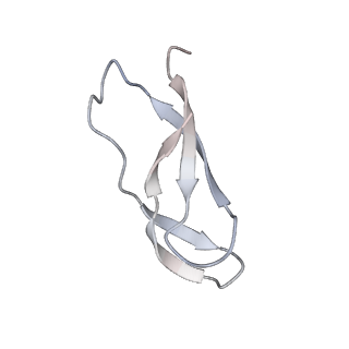 21633_6wde_C_v1-2
Cryo-EM of elongating ribosome with EF-Tu*GTP elucidates tRNA proofreading (Cognate Structure V-B)