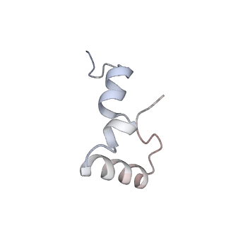 21633_6wde_D_v1-2
Cryo-EM of elongating ribosome with EF-Tu*GTP elucidates tRNA proofreading (Cognate Structure V-B)