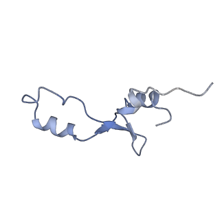 21633_6wde_E_v1-2
Cryo-EM of elongating ribosome with EF-Tu*GTP elucidates tRNA proofreading (Cognate Structure V-B)