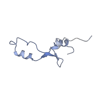 21633_6wde_E_v1-3
Cryo-EM of elongating ribosome with EF-Tu*GTP elucidates tRNA proofreading (Cognate Structure V-B)