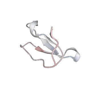 21633_6wde_F_v1-3
Cryo-EM of elongating ribosome with EF-Tu*GTP elucidates tRNA proofreading (Cognate Structure V-B)