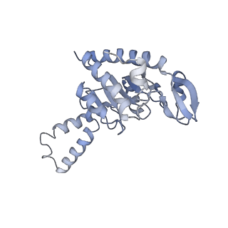 21633_6wde_G_v1-2
Cryo-EM of elongating ribosome with EF-Tu*GTP elucidates tRNA proofreading (Cognate Structure V-B)