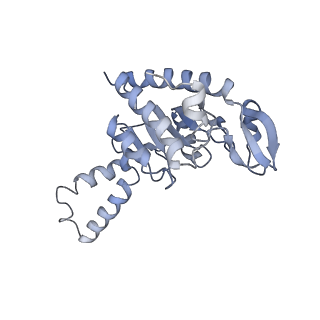 21633_6wde_G_v1-3
Cryo-EM of elongating ribosome with EF-Tu*GTP elucidates tRNA proofreading (Cognate Structure V-B)