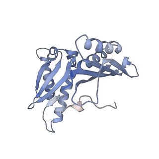 21633_6wde_H_v1-2
Cryo-EM of elongating ribosome with EF-Tu*GTP elucidates tRNA proofreading (Cognate Structure V-B)