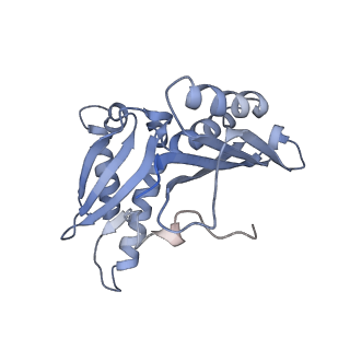 21633_6wde_H_v1-3
Cryo-EM of elongating ribosome with EF-Tu*GTP elucidates tRNA proofreading (Cognate Structure V-B)