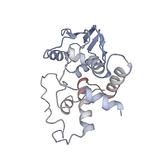 21633_6wde_I_v1-2
Cryo-EM of elongating ribosome with EF-Tu*GTP elucidates tRNA proofreading (Cognate Structure V-B)