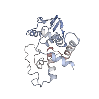 21633_6wde_I_v1-3
Cryo-EM of elongating ribosome with EF-Tu*GTP elucidates tRNA proofreading (Cognate Structure V-B)