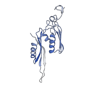 21633_6wde_J_v1-3
Cryo-EM of elongating ribosome with EF-Tu*GTP elucidates tRNA proofreading (Cognate Structure V-B)