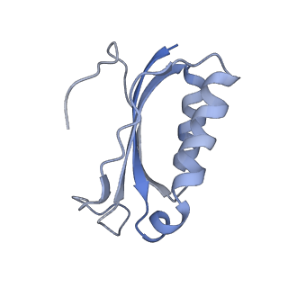 21633_6wde_K_v1-2
Cryo-EM of elongating ribosome with EF-Tu*GTP elucidates tRNA proofreading (Cognate Structure V-B)