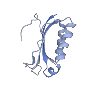 21633_6wde_K_v1-3
Cryo-EM of elongating ribosome with EF-Tu*GTP elucidates tRNA proofreading (Cognate Structure V-B)