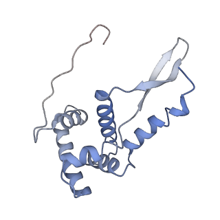 21633_6wde_L_v1-2
Cryo-EM of elongating ribosome with EF-Tu*GTP elucidates tRNA proofreading (Cognate Structure V-B)