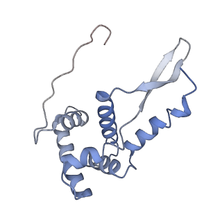 21633_6wde_L_v1-3
Cryo-EM of elongating ribosome with EF-Tu*GTP elucidates tRNA proofreading (Cognate Structure V-B)