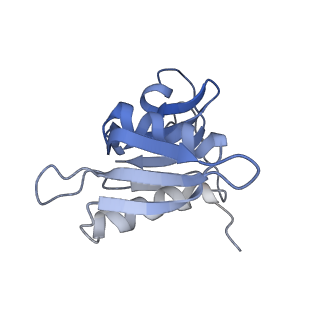 21633_6wde_M_v1-2
Cryo-EM of elongating ribosome with EF-Tu*GTP elucidates tRNA proofreading (Cognate Structure V-B)