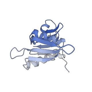 21633_6wde_M_v1-3
Cryo-EM of elongating ribosome with EF-Tu*GTP elucidates tRNA proofreading (Cognate Structure V-B)