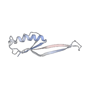 21633_6wde_O_v1-3
Cryo-EM of elongating ribosome with EF-Tu*GTP elucidates tRNA proofreading (Cognate Structure V-B)