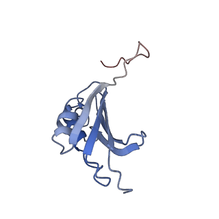 21633_6wde_P_v1-2
Cryo-EM of elongating ribosome with EF-Tu*GTP elucidates tRNA proofreading (Cognate Structure V-B)