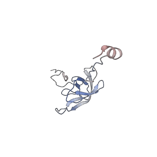 21633_6wde_Q_v1-2
Cryo-EM of elongating ribosome with EF-Tu*GTP elucidates tRNA proofreading (Cognate Structure V-B)