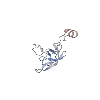 21633_6wde_Q_v1-3
Cryo-EM of elongating ribosome with EF-Tu*GTP elucidates tRNA proofreading (Cognate Structure V-B)