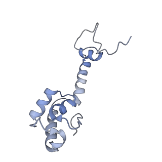 21633_6wde_R_v1-2
Cryo-EM of elongating ribosome with EF-Tu*GTP elucidates tRNA proofreading (Cognate Structure V-B)