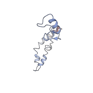 21633_6wde_S_v1-3
Cryo-EM of elongating ribosome with EF-Tu*GTP elucidates tRNA proofreading (Cognate Structure V-B)