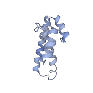 21633_6wde_T_v1-3
Cryo-EM of elongating ribosome with EF-Tu*GTP elucidates tRNA proofreading (Cognate Structure V-B)