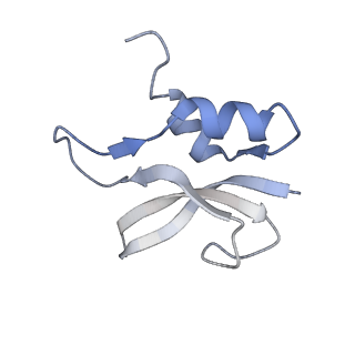 21633_6wde_U_v1-2
Cryo-EM of elongating ribosome with EF-Tu*GTP elucidates tRNA proofreading (Cognate Structure V-B)
