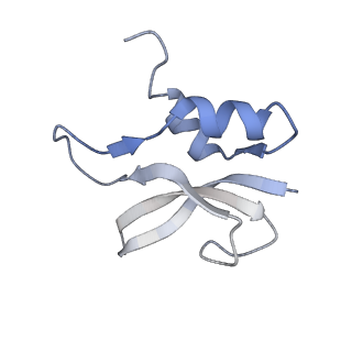 21633_6wde_U_v1-3
Cryo-EM of elongating ribosome with EF-Tu*GTP elucidates tRNA proofreading (Cognate Structure V-B)