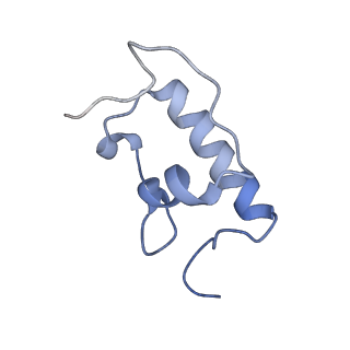 21633_6wde_W_v1-2
Cryo-EM of elongating ribosome with EF-Tu*GTP elucidates tRNA proofreading (Cognate Structure V-B)