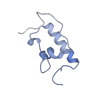 21633_6wde_W_v1-3
Cryo-EM of elongating ribosome with EF-Tu*GTP elucidates tRNA proofreading (Cognate Structure V-B)