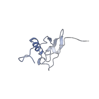 21633_6wde_X_v1-2
Cryo-EM of elongating ribosome with EF-Tu*GTP elucidates tRNA proofreading (Cognate Structure V-B)
