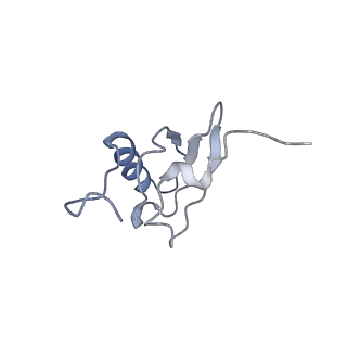 21633_6wde_X_v1-3
Cryo-EM of elongating ribosome with EF-Tu*GTP elucidates tRNA proofreading (Cognate Structure V-B)