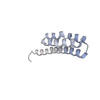 21633_6wde_Y_v1-2
Cryo-EM of elongating ribosome with EF-Tu*GTP elucidates tRNA proofreading (Cognate Structure V-B)