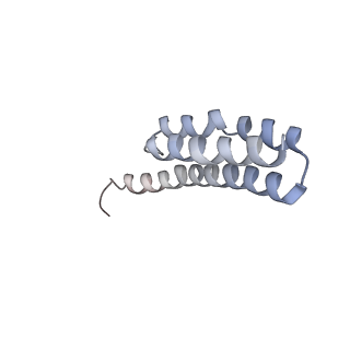 21633_6wde_Y_v1-3
Cryo-EM of elongating ribosome with EF-Tu*GTP elucidates tRNA proofreading (Cognate Structure V-B)