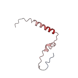 21633_6wde_Z_v1-2
Cryo-EM of elongating ribosome with EF-Tu*GTP elucidates tRNA proofreading (Cognate Structure V-B)