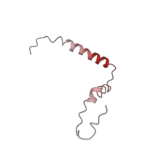 21633_6wde_Z_v1-3
Cryo-EM of elongating ribosome with EF-Tu*GTP elucidates tRNA proofreading (Cognate Structure V-B)