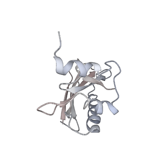 21633_6wde_a_v1-2
Cryo-EM of elongating ribosome with EF-Tu*GTP elucidates tRNA proofreading (Cognate Structure V-B)