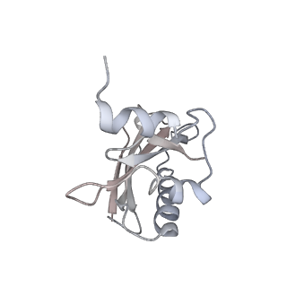 21633_6wde_a_v1-3
Cryo-EM of elongating ribosome with EF-Tu*GTP elucidates tRNA proofreading (Cognate Structure V-B)