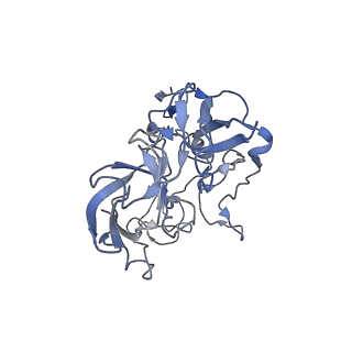21633_6wde_b_v1-2
Cryo-EM of elongating ribosome with EF-Tu*GTP elucidates tRNA proofreading (Cognate Structure V-B)